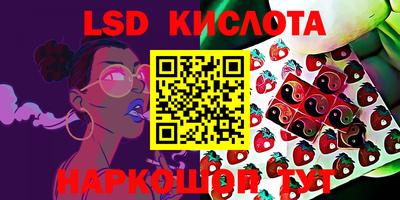 гашик Будённовск