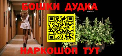 гашик Будённовск