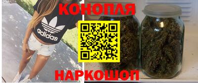 гашик Будённовск