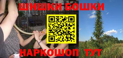 гашик Будённовск