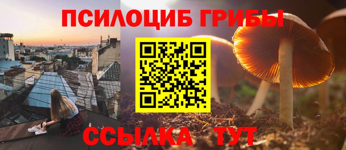 Галлюциногенные грибы MAGIC MUSHROOMS Тюмень